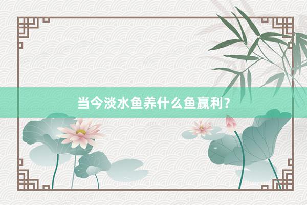 当今淡水鱼养什么鱼赢利？