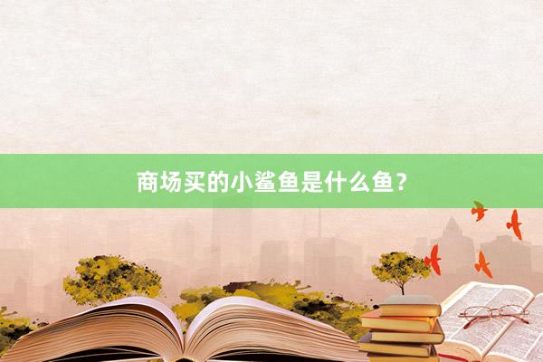 商场买的小鲨鱼是什么鱼？